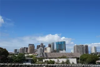 Photo #6: 202521621 Listing 