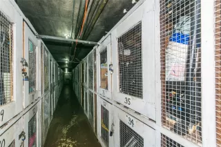 Photo #2: 202521768 Listing 