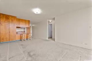 Photo #5: 202522174 Listing 