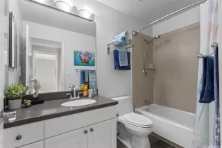 Photo #6: 202523198 Listing 