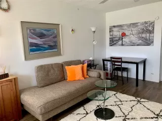 Photo #3: 202523232 Listing 