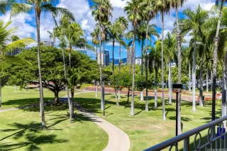 Photo #5: 202523323 Listing 