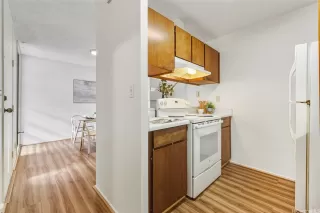 Photo #4: 202524232 Listing 