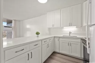 Photo #5: 202524459 Listing 