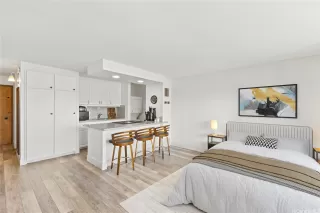 Primary Photo for MLS#: 202525093