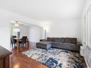 Primary Photo for MLS#: 202525175