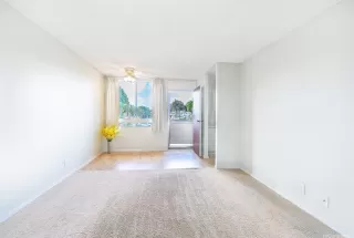 Photo #3: 202525256 Listing 