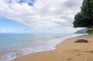 Primary Photo for MLS#: 202525278