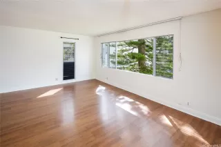 Photo #4: 202525453 Listing 