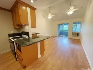 More Details about MLS # 202526054 : 95-532 WIKAO STREET E304