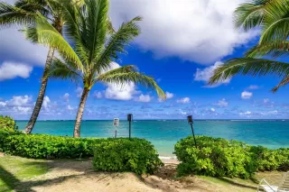 Primary Photo for MLS#: 202526316