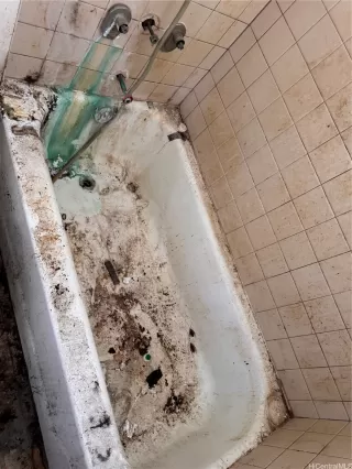 Photo #5: 202527918 Listing 