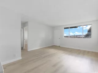 Photo #6: 202528059 Listing 