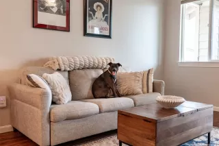 Photo #5: 202528231 Listing 