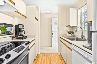 Primary Photo for MLS#: 202528381