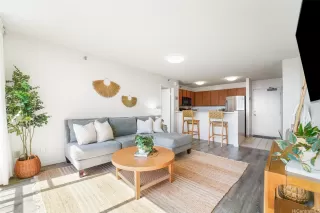 Primary Photo for MLS#: 202528494