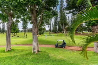 Photo #6: 202600097 Listing 