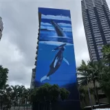 Primary Photo for MLS#: 202600133