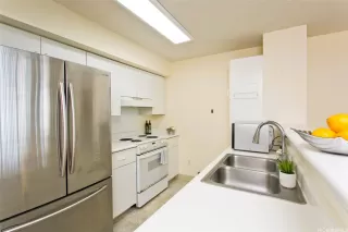 Photo #6: 202600187 Listing 