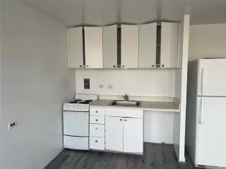 Photo #4: 202600252 Listing 