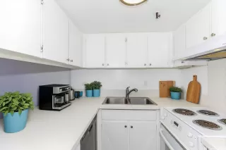 Photo #4: 202600395 Listing 