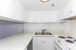 Photo #5: 202600395 Listing 