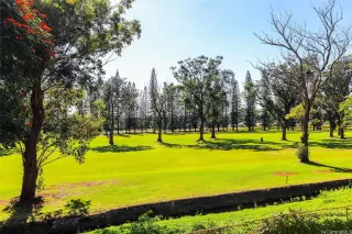 Photo #4: 202600499 Listing 