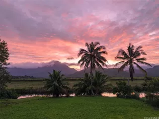 Photo #6: 202600730 Listing 