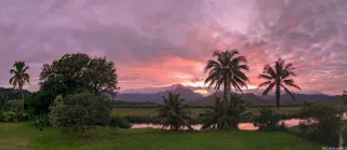 Photo #5: 202600742 Listing 