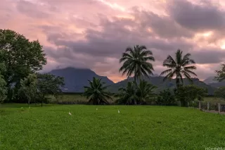 Photo #6: 202600742 Listing 