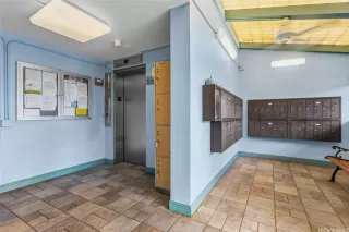 Photo #3: 202600847 Listing 