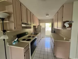 Photo #6: 202601046 Listing 