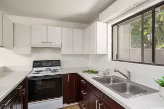 Photo #6: 202601188 Listing 