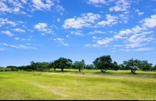 More Details about MLS # 202601412 : 1175 MOKUHANO STREET G102