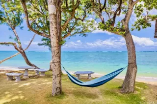 Photo #4: 202601570 Listing 