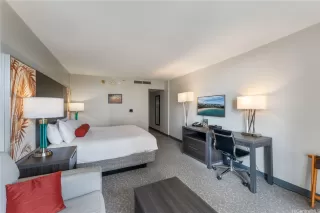 Photo #5: 202601604 Listing 