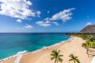 Photo #6: 202601825 Listing 