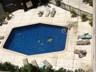 Photo #4: 202602101 Listing 