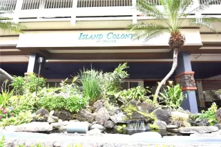 Photo #2: 202603391 Listing 