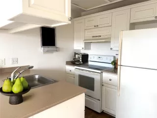 Photo #3: 202603519 Listing 