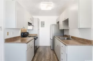 Photo #4: 202604083 Listing 