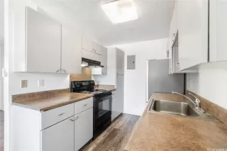 Photo #5: 202604083 Listing 