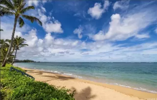 Photo #2: 202604371 Listing 