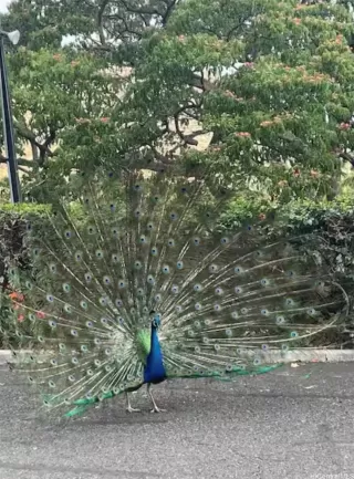 Photo #3: 202605201 Listing 