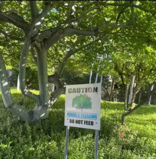 Photo #6: 202605201 Listing 