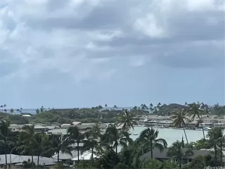 Primary Photo for MLS#: 202605225