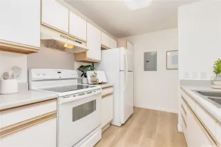 Photo #5: 202605395 Listing 