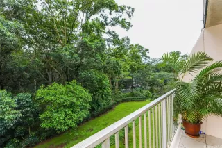 Photo #3: 202605767 Listing 