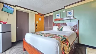 Photo #4: 202605886 Listing 