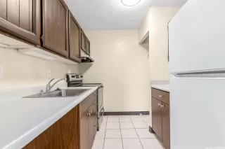 Photo #5: 202606125 Listing 